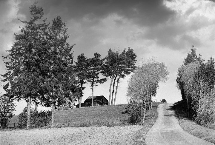 190502 - Pentax Spotmatic SP - Agfa APX 100 (7) CLOUDS