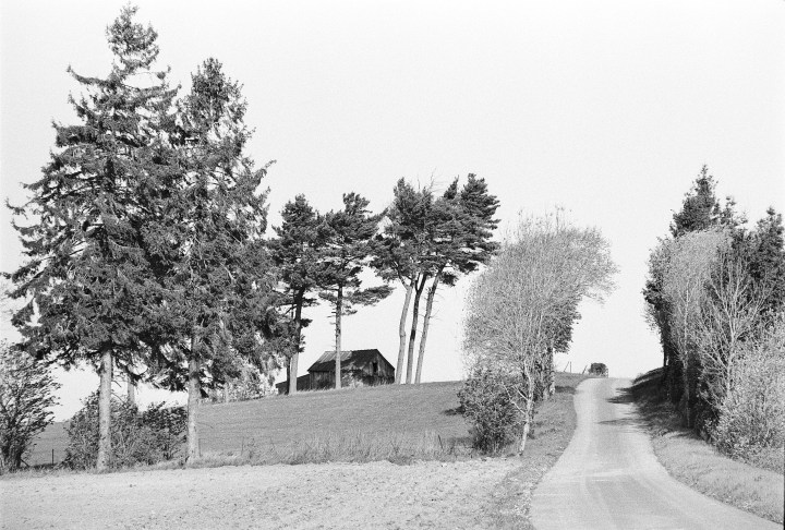 190502 - Pentax Spotmatic SP - Agfa APX 100 (7).jpg