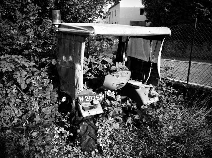 image_6ACA1718-CD3E-4689-A3DA-E95C1921B1D5.IMG_0202